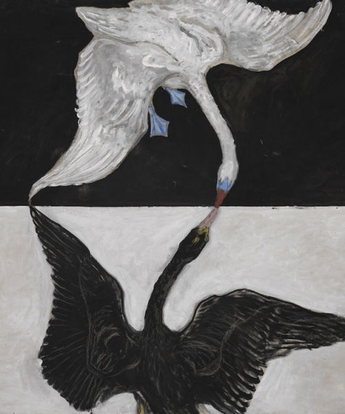 The Swan, Nº. 1