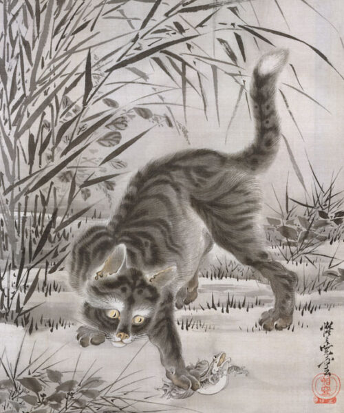 Gato Cazando una Rana