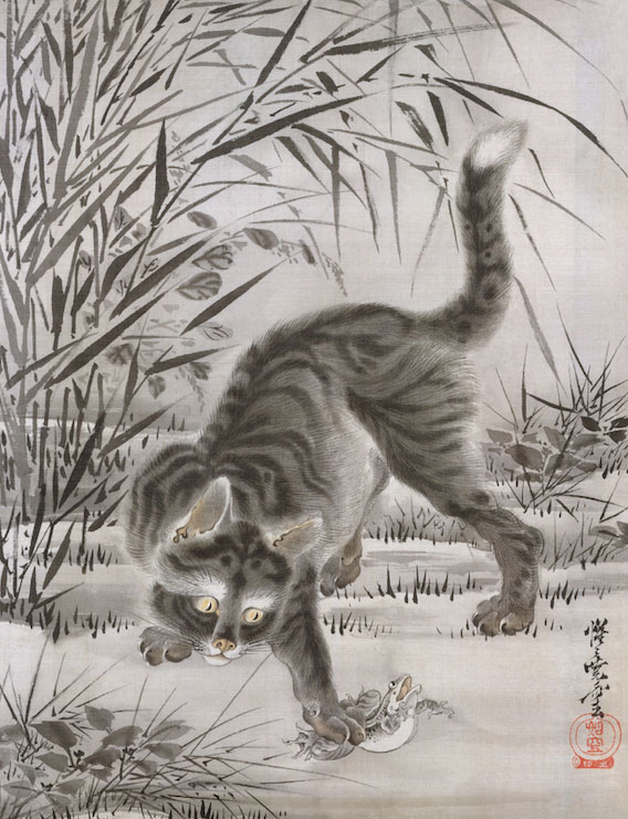 Gato Cazando una Rana
