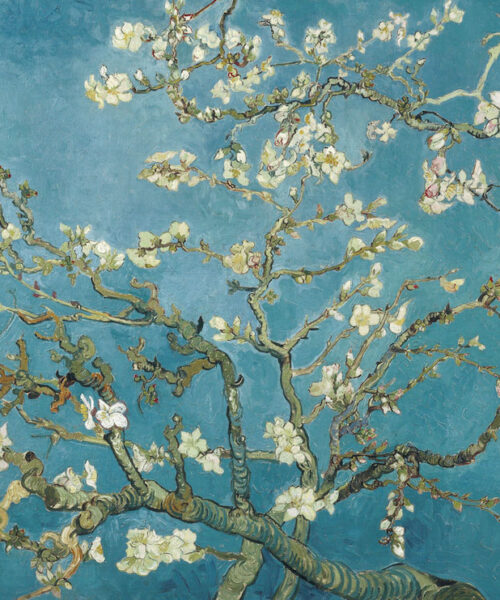Cerezos en Flor de Vincent Van Gogh