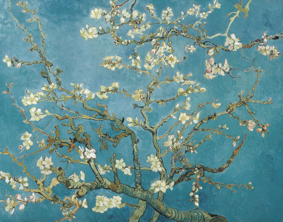 Cerezos en Flor de Vincent Van Gogh