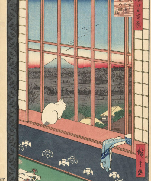 Hiroshigue Cat