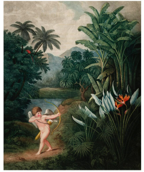 Cupido Inspirando a las Planta