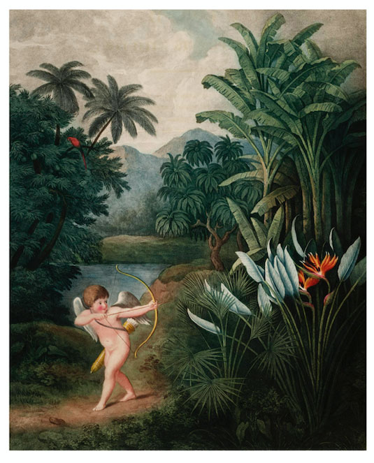 Cupido Inspirando a las Planta