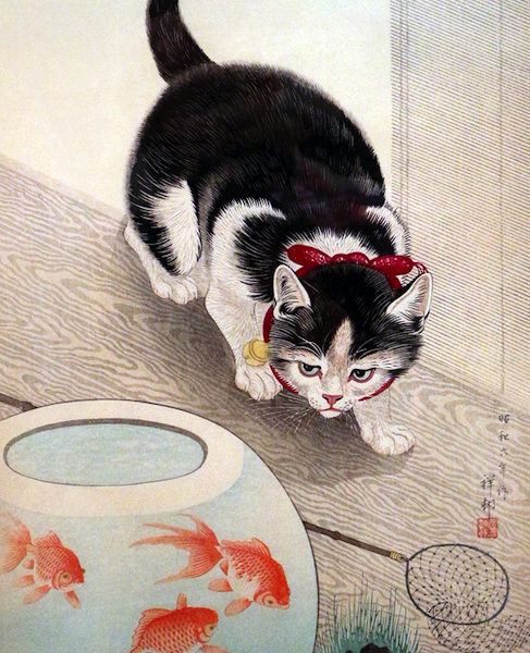 Cuadro Gato y Pescera