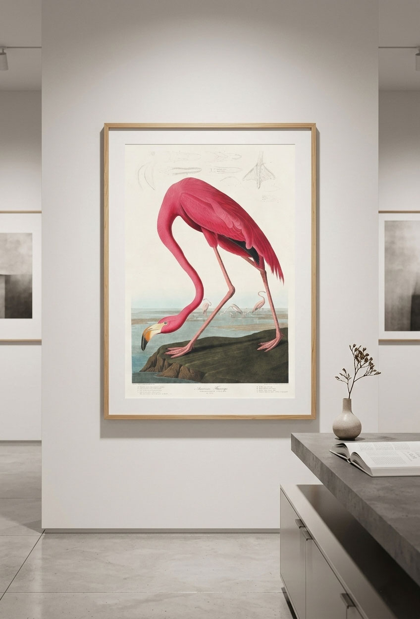 Cuadro American Flamingo - Imagen 2