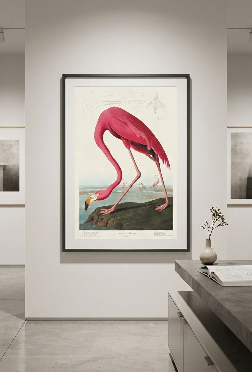 Cuadro American Flamingo - Imagen 3