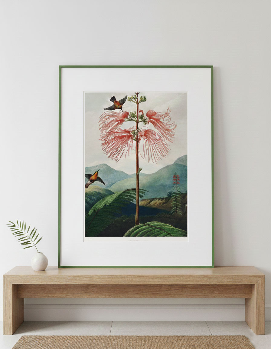 Gran Floración y Colibrí - Imagen 2