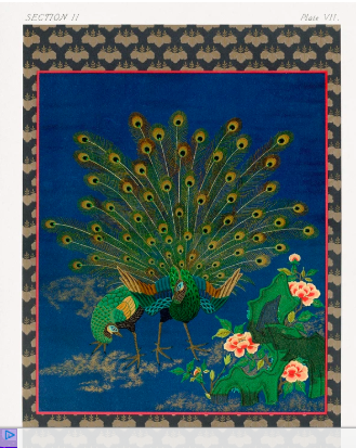 Cuadro Pavo Real Japones