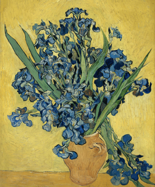 Irises