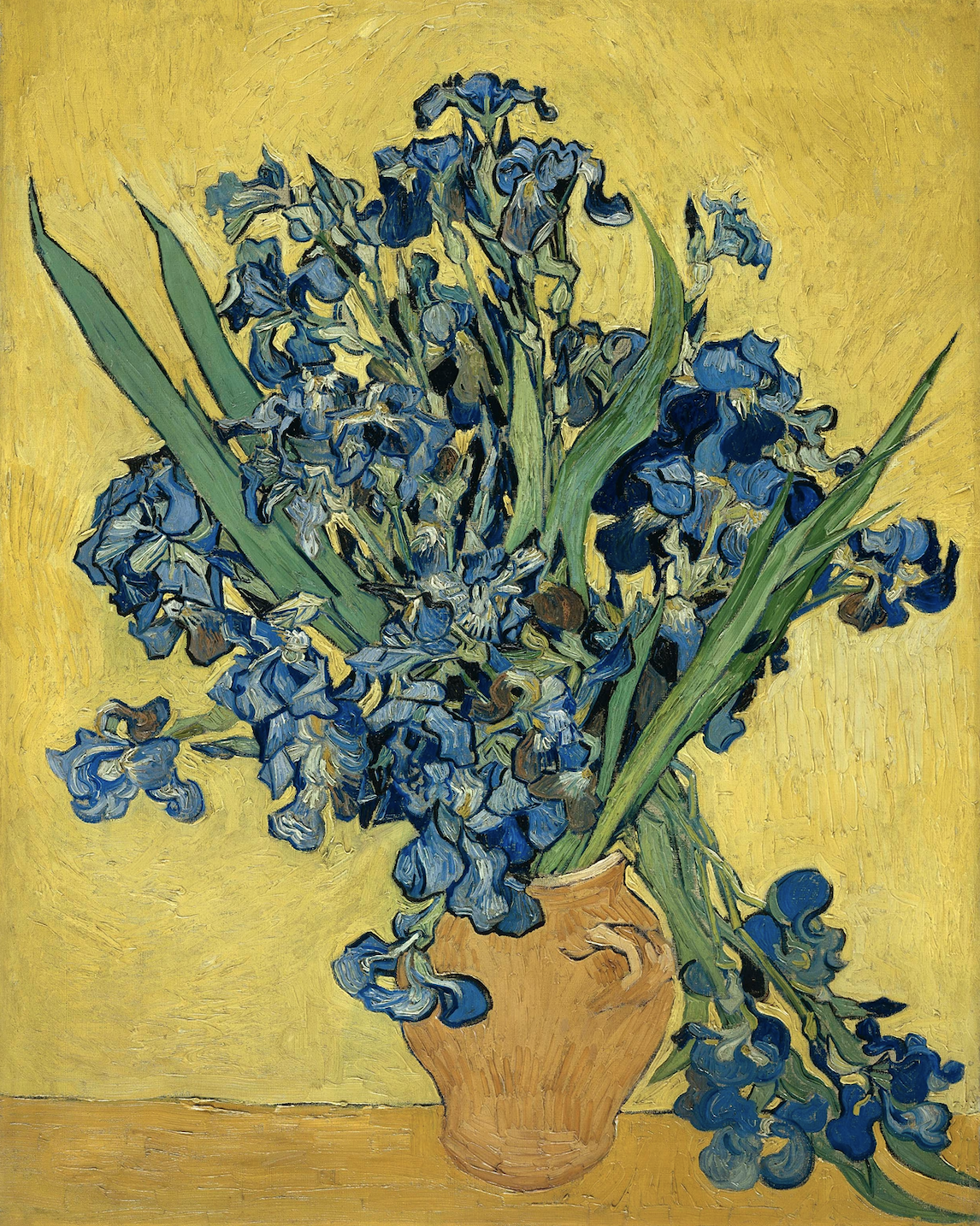 Irises