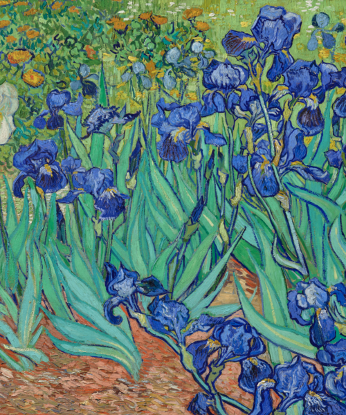 Irises Vincent Van Gogh