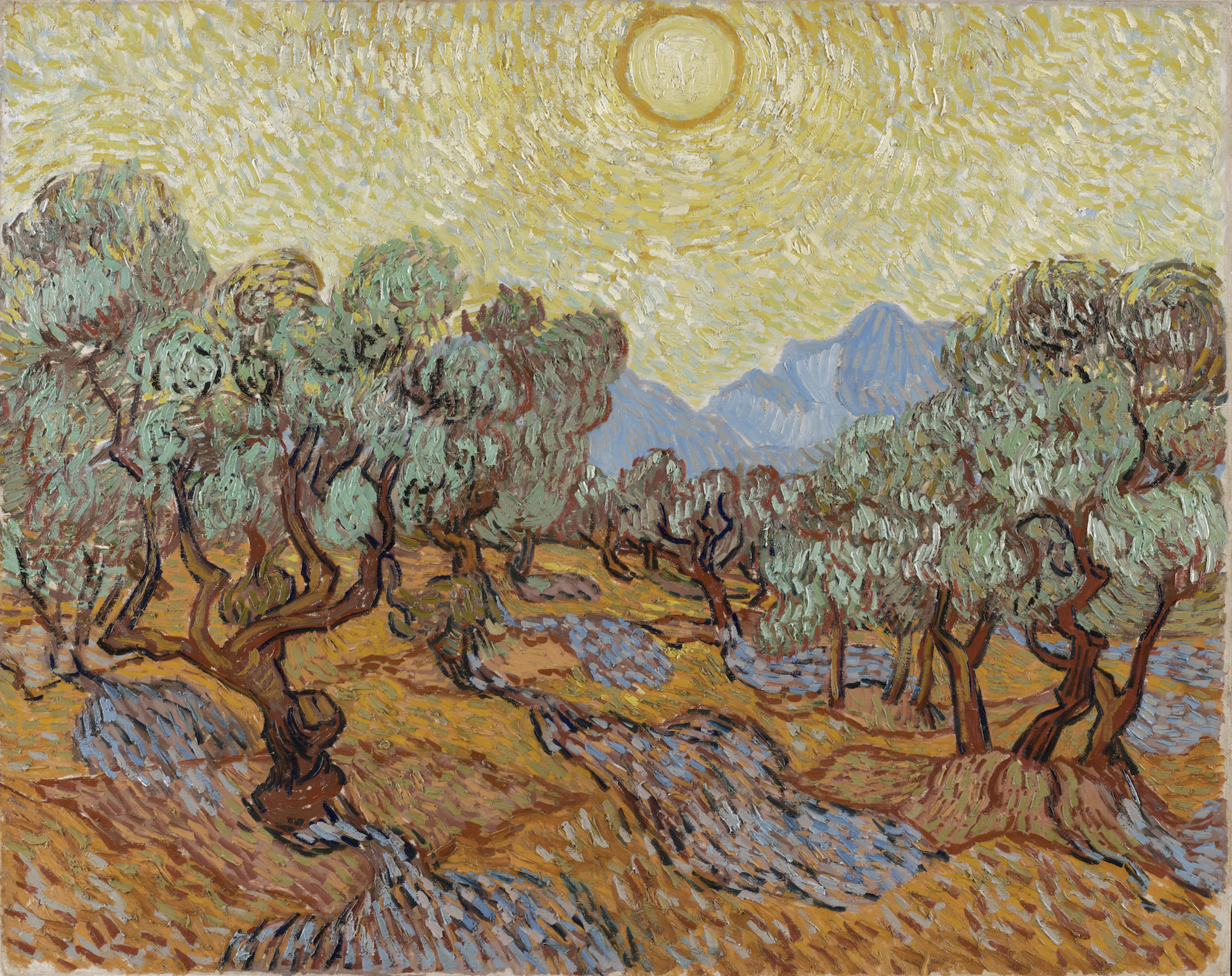 Olivos Vincent Van Gogh