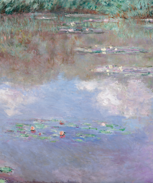 Water Lilies