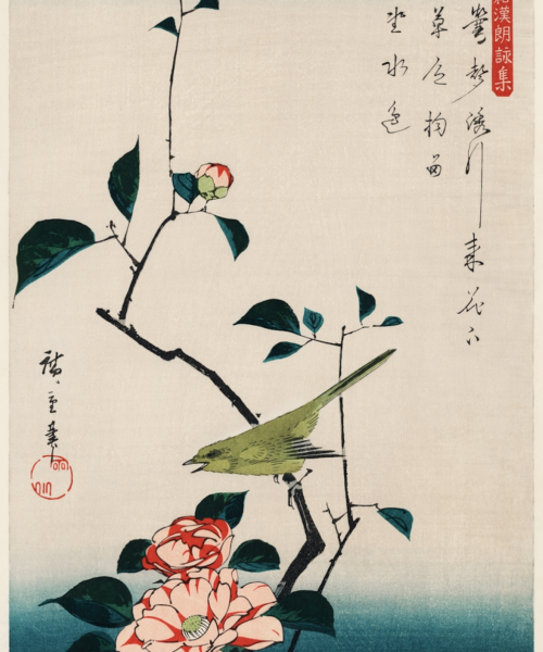 Ukiyo-e Camelia y Ruiseñor