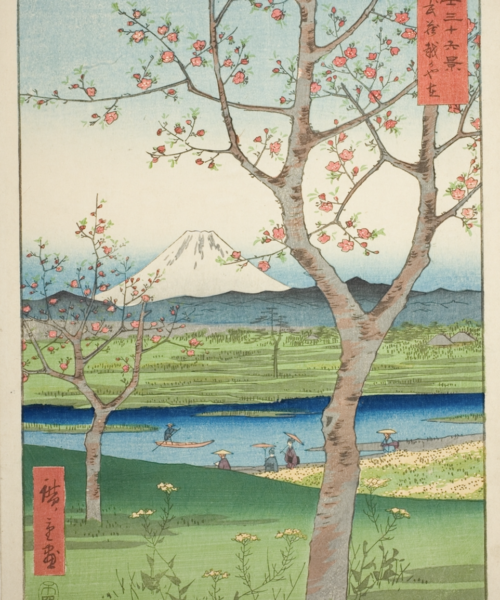 Paisaje Musashi