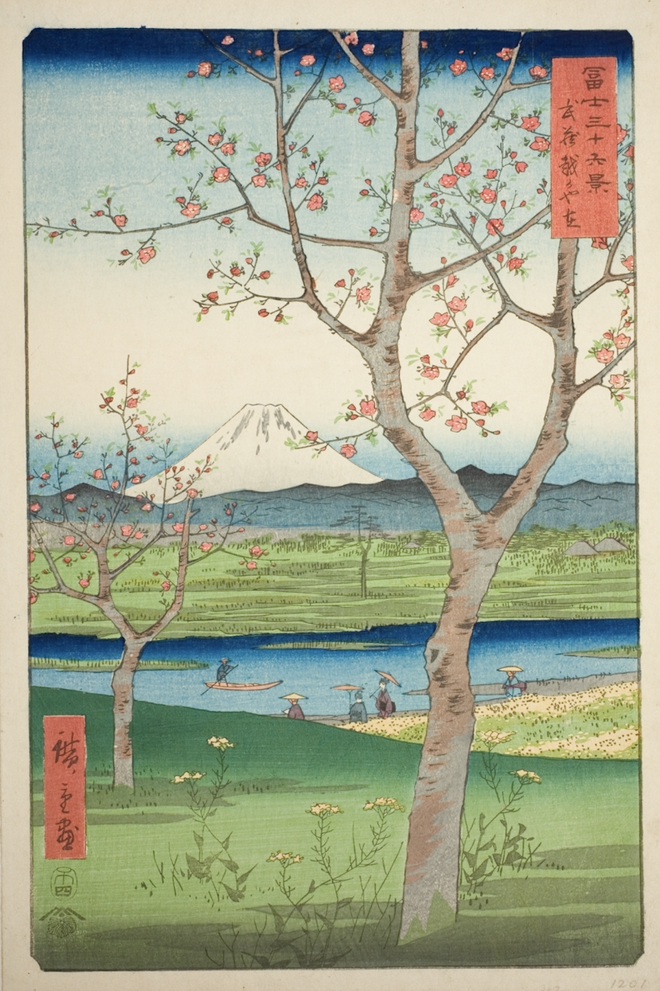 Paisaje Musashi